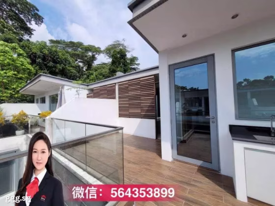 整套出租 • 诺维娜 •  The Greenwood • S$9100 • 联排排屋 • 3154ft² / 293m² 照片