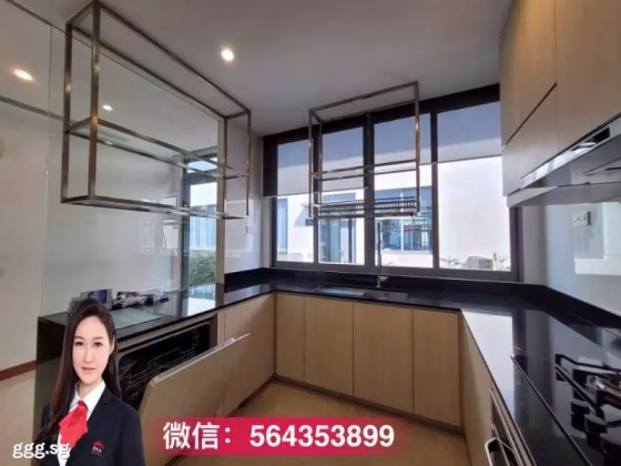 整套出租 • 诺维娜 •  The Greenwood • S$9100 • 联排排屋 • 3154ft² / 293m² 照片