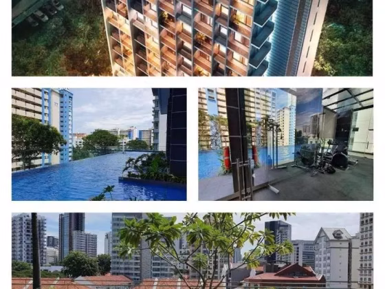 房屋出售 • 纽顿 •  Cradels • S$880000 • 住宅公寓 • 463ft² / 43m² 照片