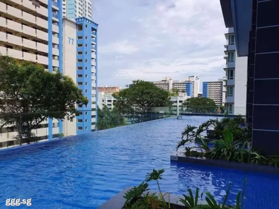 整套出租 • 纽顿 •  Cradels • S$3250 • 住宅公寓 • 463ft² / 43m² 照片