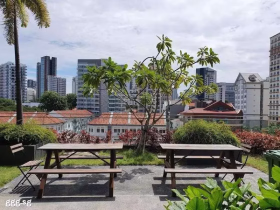 整套出租 • 纽顿 •  Cradels • S$3250 • 住宅公寓 • 463ft² / 43m² 照片