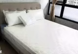 整套出租 • 武吉巴督 •  Le Quest • S$3100 • 住宅公寓 • 500ft² / 46m²