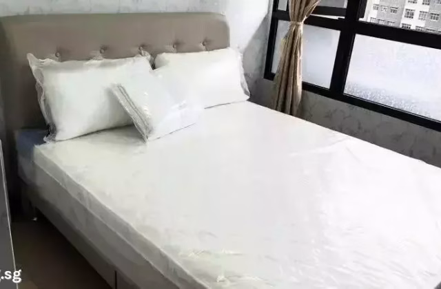 整套出租 • 武吉巴督 •  Le Quest • S$3100 • 住宅公寓 • 500ft² / 46m²