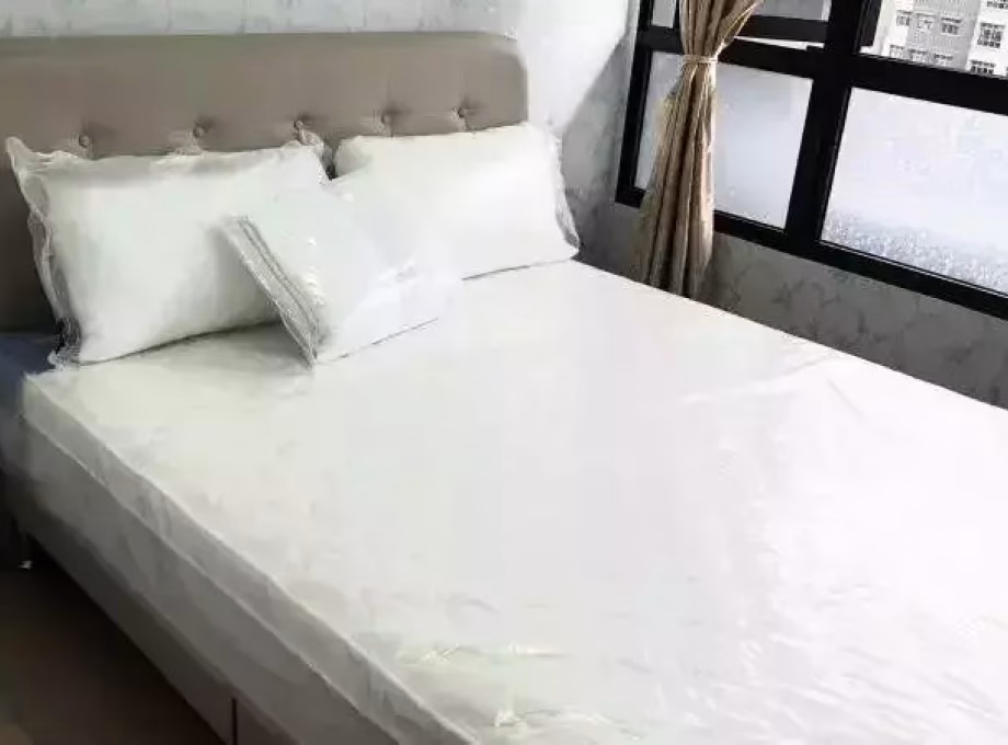 整套出租 • 武吉巴督 •  Le Quest • S$3100 • 住宅公寓 • 500ft² / 46m² 照片