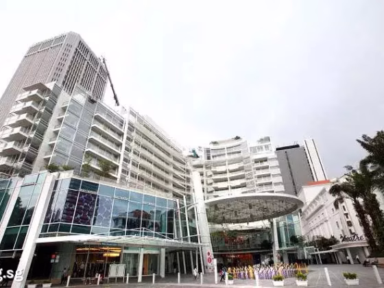 房屋出售 • 淡滨尼 •  Eden Residences Capitol • S$24190000 • 住宅公寓 • 5802ft² / 539m² 照片