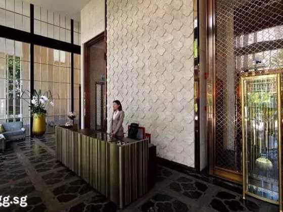 房屋出售 • 登加 •  The Ritz-carlton Residences • S$13880000 • 住宅公寓 • 2831ft² / 263m² 照片