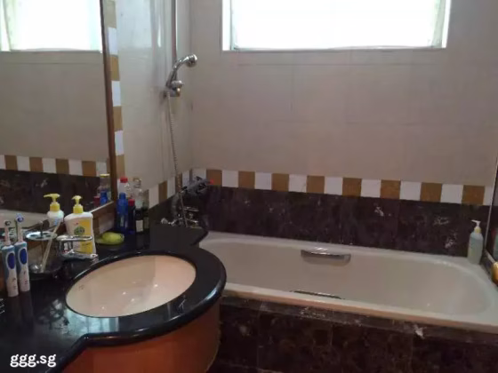整套出租 • 武吉巴督 •  Guilin View • S$4700 • 共管公寓 • 1399ft² / 129m² 照片