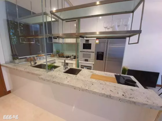 房屋出售 • 武吉班让 •  Seahill • S$4814783 • 城区住宅 • 3574ft² / 332m² 照片