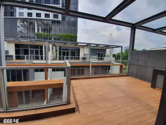 房屋出售 • 武吉班让 •  Seahill • S$4814783 • 城区住宅 • 3574ft² / 332m² 照片