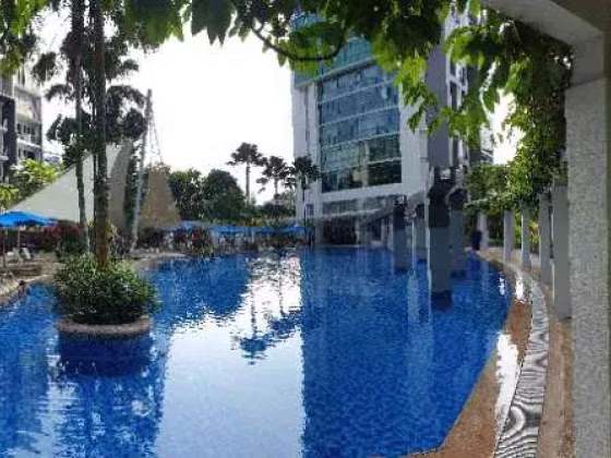 单间出租 • 武吉巴督 •  Hillview Regency • S$1800 • 共管公寓 • 主人房 照片