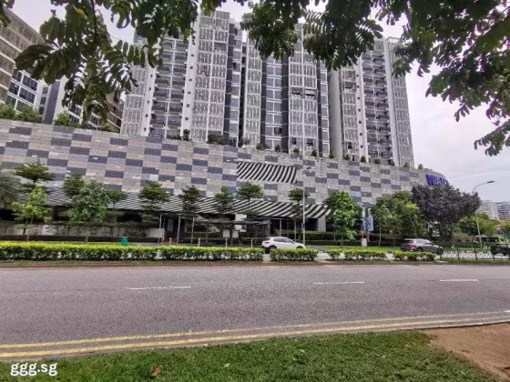 单间出租 • 樟宜 • 308A Punggol Walk • S$900 • 3房(2臥室) • 普通房 照片