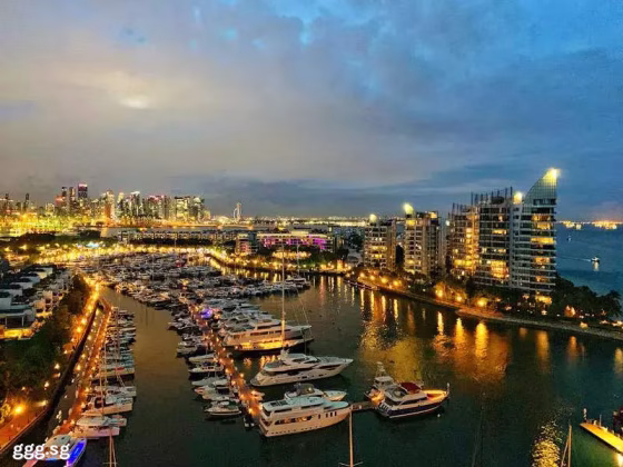 房屋出售 • 巴西立 •  Cape Royale • S$3531000 • 共管公寓 • 1679ft² / 155m² 照片