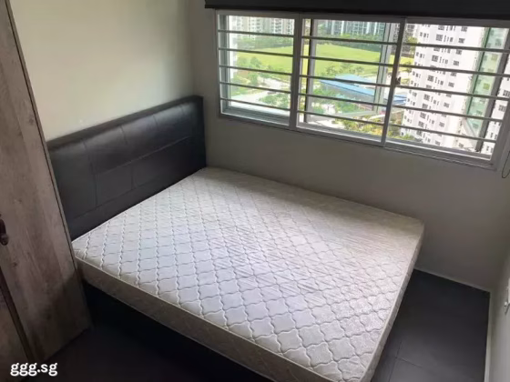单间出租 • 碧山 • 469B Sengkang West Way • S$850 • 4房(3臥室) • 普通房 照片