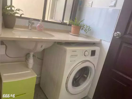 单间出租 • 新邦 •  Marine Mansion • S$1500 • 住宅公寓 • 主人房 照片