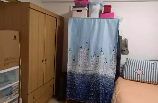 单间出租 • 中央集水区 • 229 Serangoon Avenue 4 • S$1100 • 4房(3臥室) • 普通房