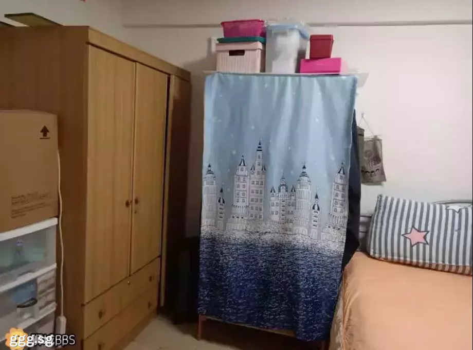 单间出租 • 中央集水区 • 229 Serangoon Avenue 4 • S$1100 • 4房(3臥室) • 普通房 照片