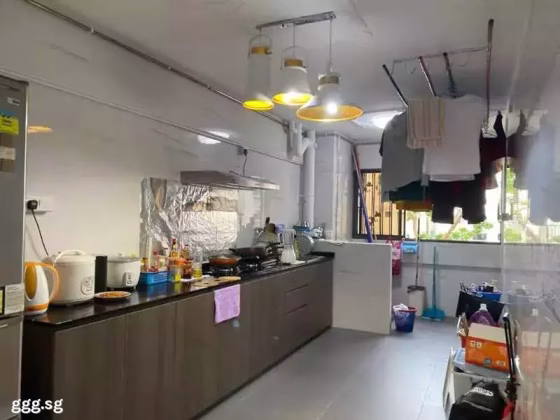 整套出租 • 武吉知马 • 151 Bedok Reservoir Road • S$3800 • 3房(2臥室) • 930ft² / 86m² 照片