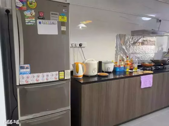整套出租 • 武吉知马 • 151 Bedok Reservoir Road • S$3800 • 3房(2臥室) • 930ft² / 86m² 照片