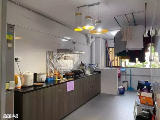 整套出租 • 武吉知马 • 151 Bedok Reservoir Road • S$3800 • 3房(2臥室) • 930ft² / 86m² 照片
