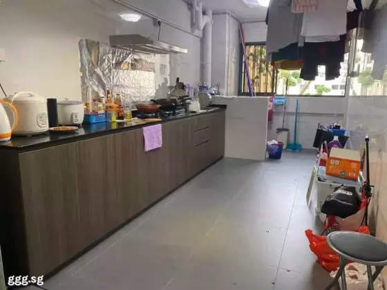 整套出租 • 武吉知马 • 151 Bedok Reservoir Road • S$3800 • 3房(2臥室) • 930ft² / 86m² 照片