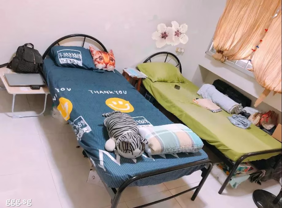 单间出租 • 金文泰 • 135 Jalan Bukit Merah • S$500 • 5房(4臥室) • 床位出租 照片