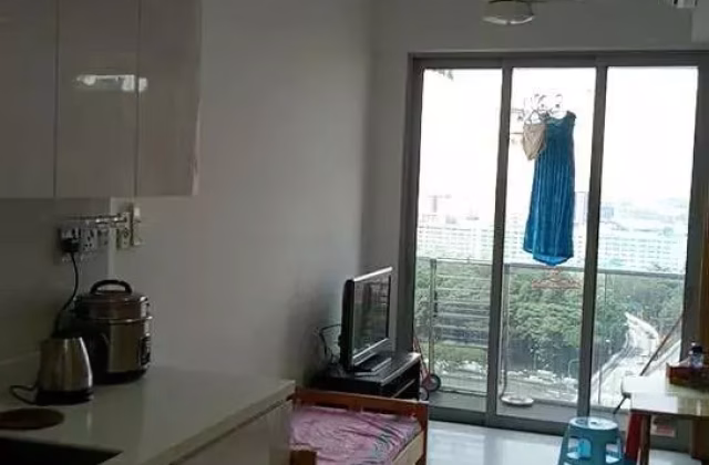 整套出租 • 博物馆 •  Riverbay • S$2500 • 住宅公寓 • 400ft² / 37m²