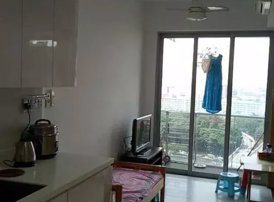 整套出租 • 博物馆 •  Riverbay • S$2500 • 住宅公寓 • 400ft² / 37m² 照片