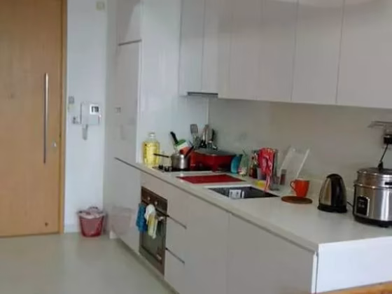整套出租 • 博物馆 •  Riverbay • S$2500 • 住宅公寓 • 400ft² / 37m² 照片