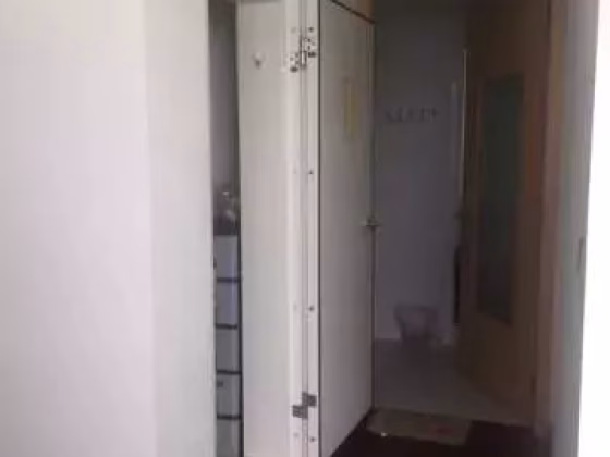 整套出租 • 博物馆 •  Riverbay • S$2500 • 住宅公寓 • 400ft² / 37m² 照片