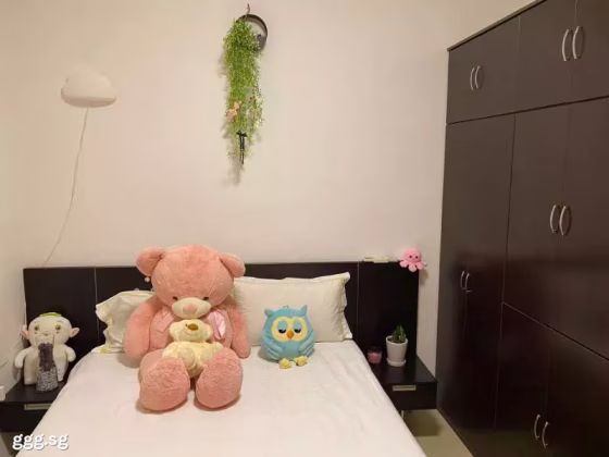单间出租 • 后港 •  Charlton Park • S$1600 • 联排排屋 • 主人房 照片