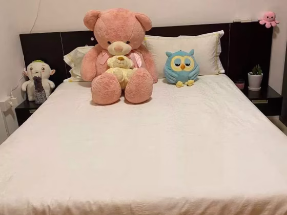单间出租 • 后港 •  Charlton Park • S$1600 • 联排排屋 • 主人房 照片