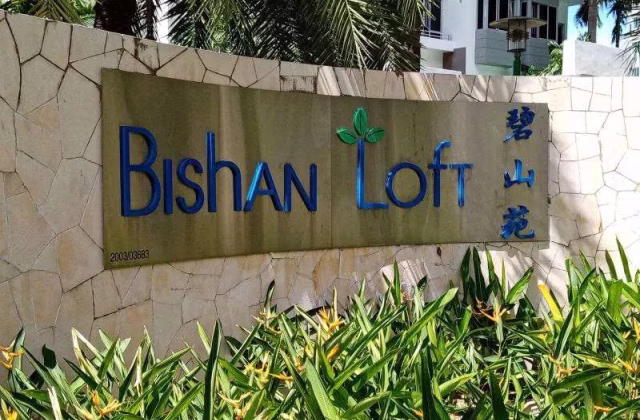 单间出租 • 碧山 •  Bishan Loft • S$1350 • 共管公寓 • 普通房