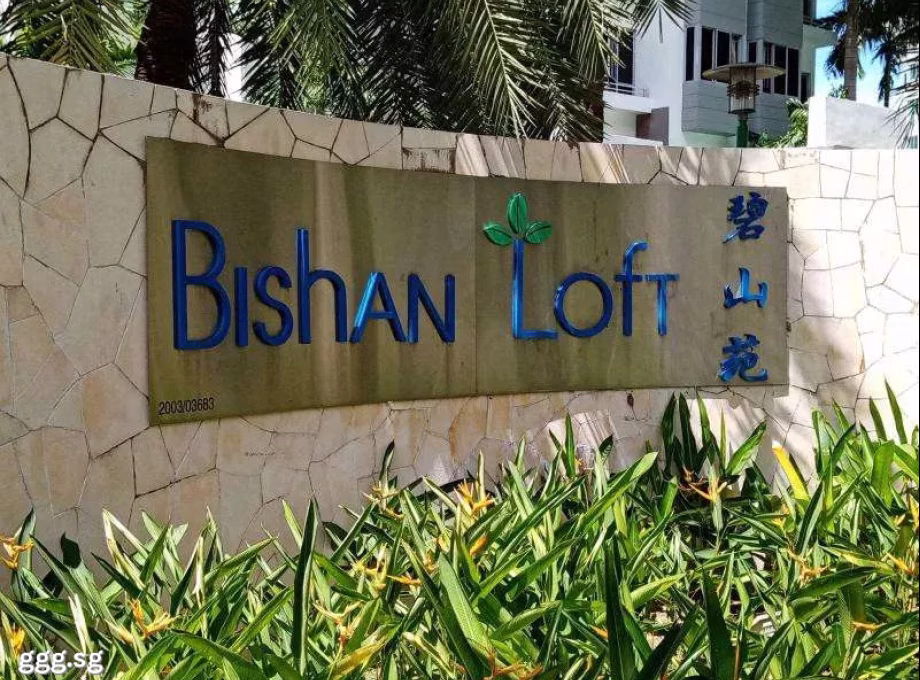 单间出租 • 碧山 •  Bishan Loft • S$1400 • 共管公寓 • 普通房 照片