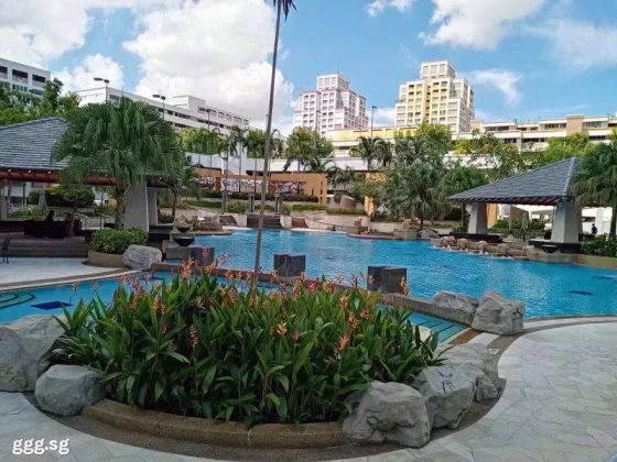 单间出租 • 碧山 •  Bishan Loft • S$1400 • 共管公寓 • 普通房 照片