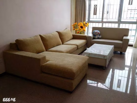 单间出租 • 碧山 •  Bishan Loft • S$1400 • 共管公寓 • 普通房 照片