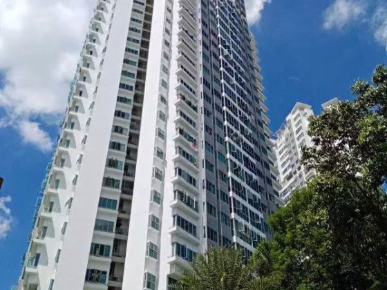 单间出租 • 碧山 •  Bishan Loft • S$1400 • 共管公寓 • 普通房 照片