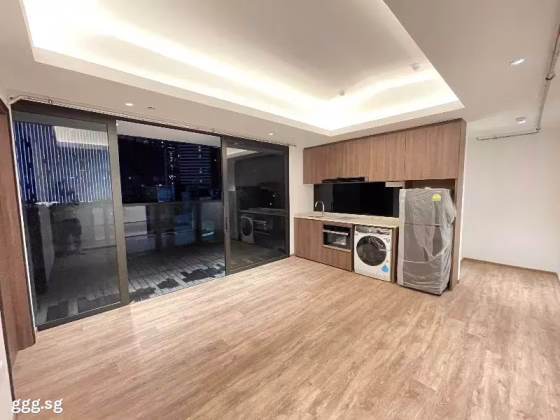 整套出租 • 淡滨尼 •  Tan Quee Lan Suites • S$5500 • 住宅公寓 • 688ft² / 63m² 照片