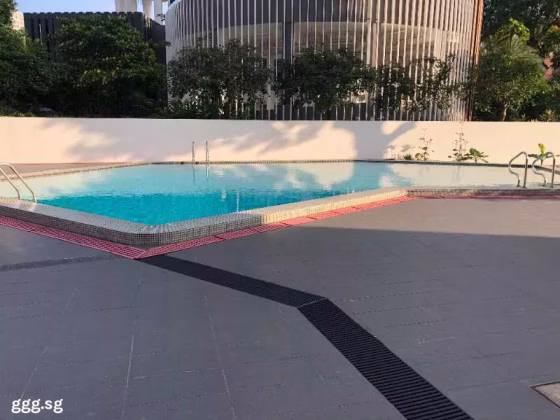 单间出租 • 纽顿 •  Tan Tong Meng Tower • S$1800 • 住宅公寓 • 主人房 照片