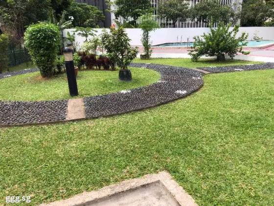 单间出租 • 纽顿 •  Tan Tong Meng Tower • S$1800 • 住宅公寓 • 主人房 照片