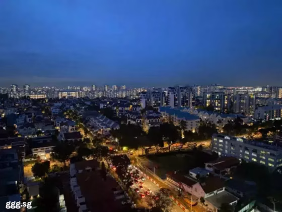 单间出租 • 武吉知马 •  The Bayshore • S$2000 • 住宅公寓 • 主人房 照片