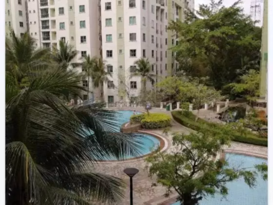 单间出租 • 红山 •  Springdale Condo • S$750 • 共管公寓 • 普通房 照片
