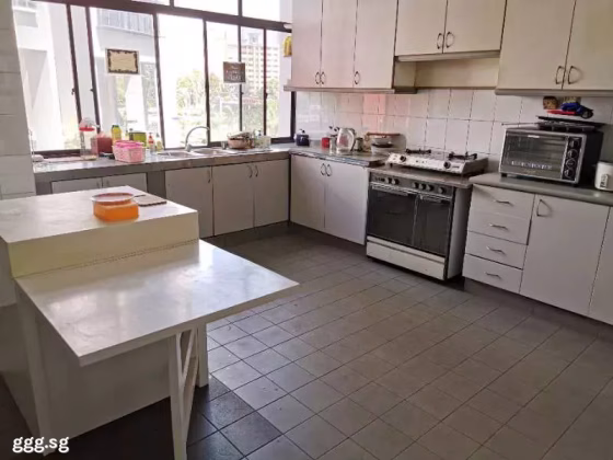 单间出租 • 纽顿 •  Tan Tong Meng Tower • S$1800 • 住宅公寓 • 主人房 照片