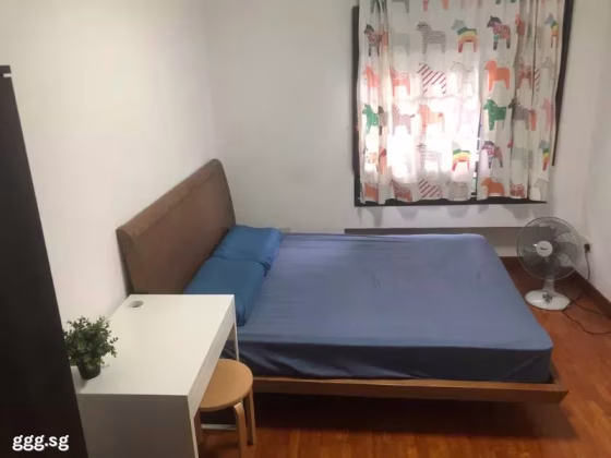 单间出租 • 林厝港 • 988C Jurong West Street 93 • S$800 • 3房(2臥室) • 普通房 照片
