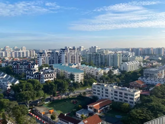 单间出租 • 武吉知马 •  The Bayshore • S$2000 • 住宅公寓 • 主人房 照片