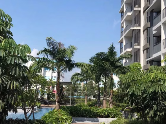 单间出租 • 梧槽 •  North Park Residences • S$1800 • 2房(1臥室) • 普通房 照片