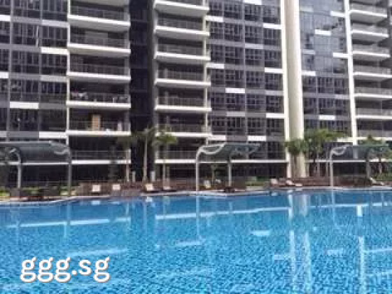 单间出租 • 后港 •  Skypark Residences • S$1200 • 执行公寓 • 普通房 照片
