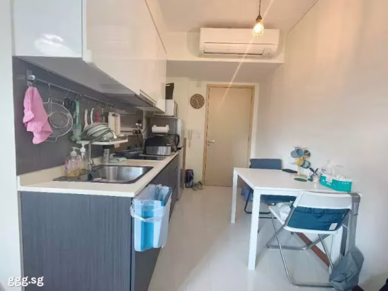整套出租 • 碧山 •  Esparina Residences • S$2650 • 共管公寓 • 410ft² / 38m² 照片