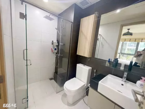 整套出租 • 碧山 •  Esparina Residences • S$2650 • 共管公寓 • 410ft² / 38m² 照片