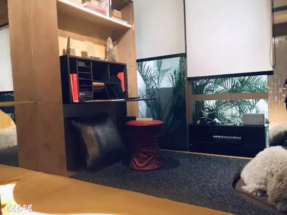 房屋出售 • 登加 •  Klimt Cairnhill • S$2650000 • 共管公寓 • 829ft² / 77m² 照片