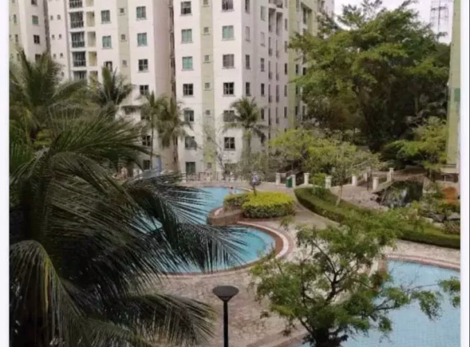 单间出租 • 红山 •  Springdale Condo • S$750 • 共管公寓 • 床位出租 照片